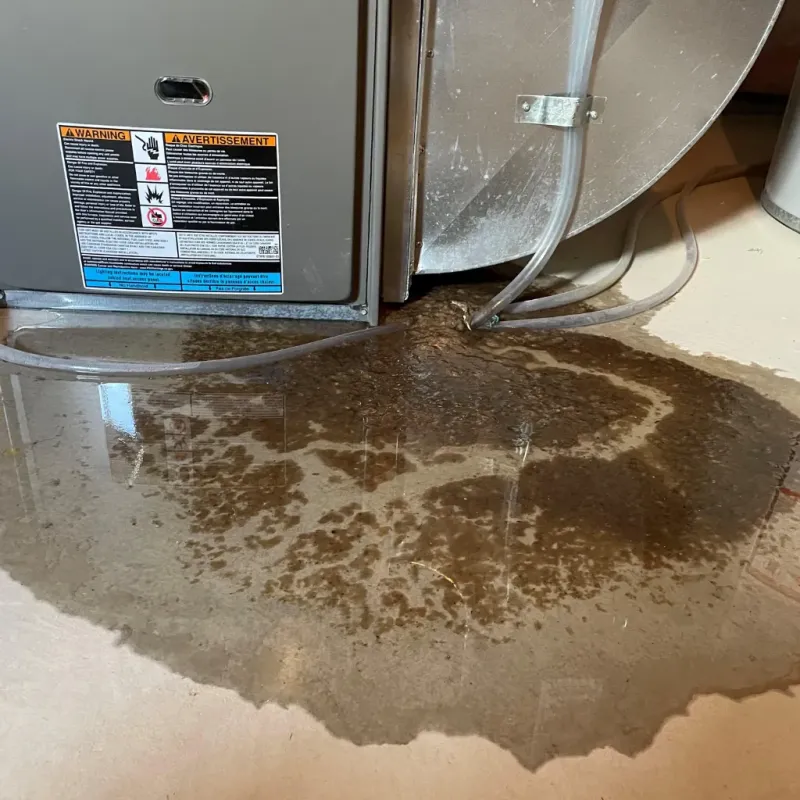 Appliance Leak Cleanup in Goodman, MO