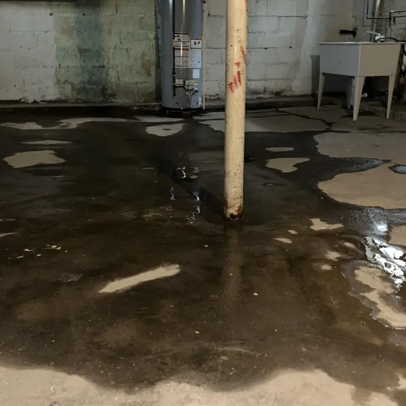 Emergency Water Extraction And Removal in Goodman, MO